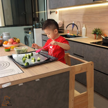 Muatkan imej ke dalam penonton Galeri, Menara Pembelajaran Janus