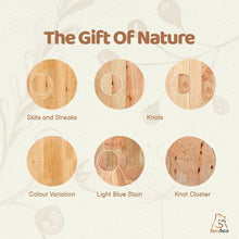 Muatkan imej ke dalam penonton Galeri, Menara Pembelajaran Janus